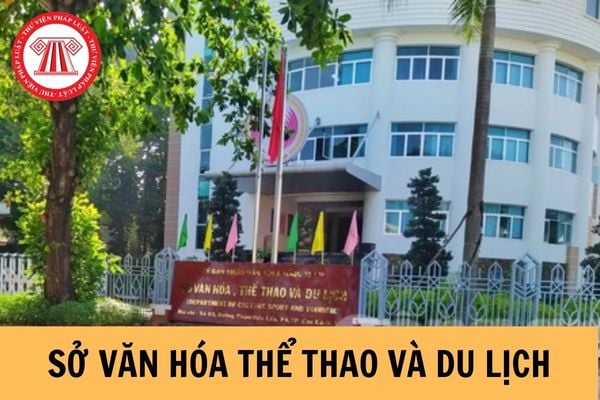 sở văn hóa thể thao và du lịch - Hình 2