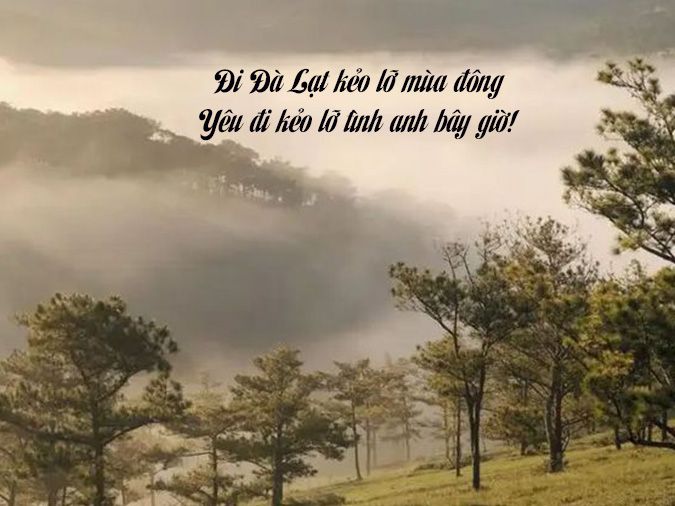 status hay khi đăng ảnh du lịch đà lạt - Hình 1