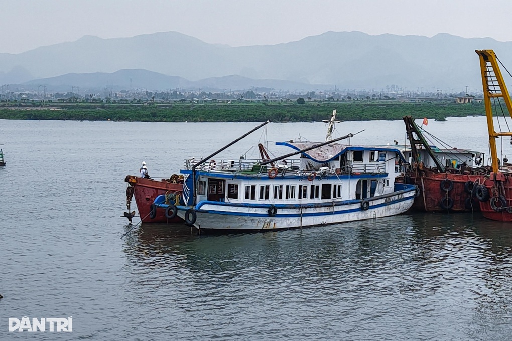 tàu du lịch vịnh xanh - Hình 5