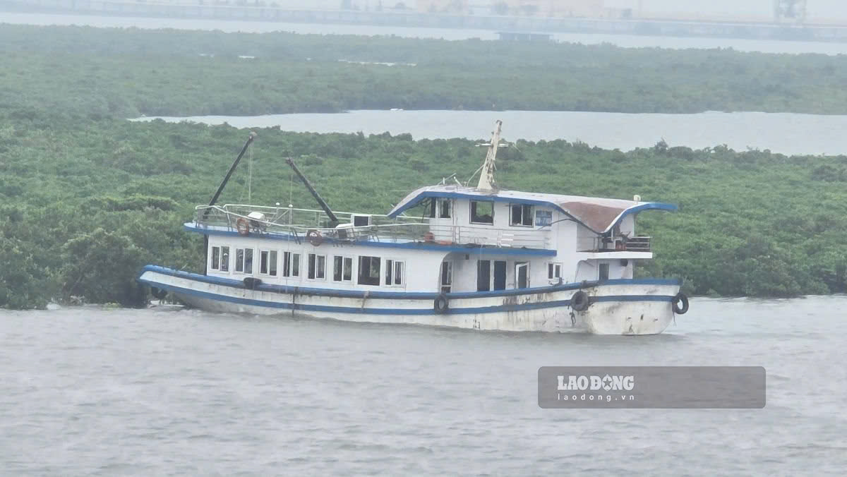 tàu du lịch vịnh xanh 58 - Hình 2