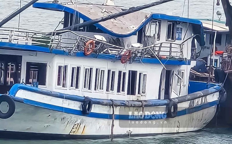 tàu du lịch vịnh xanh 58 - Hình 5