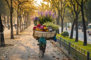 tháng 10 nên đi du lịch ở đâu