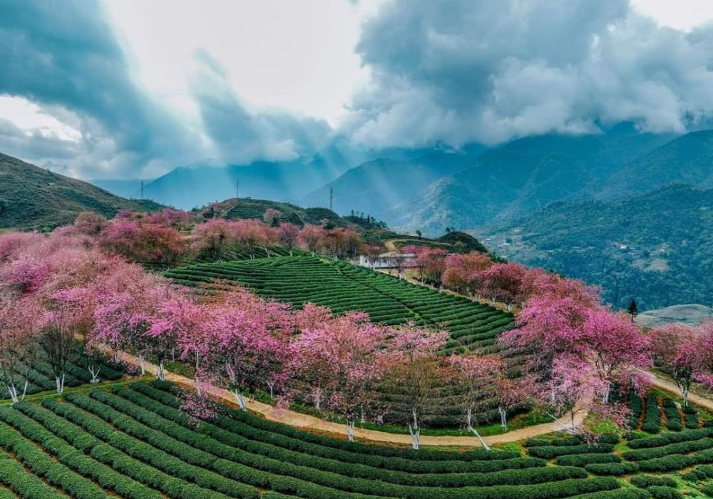 tháng 12 đi du lịch ở đâu - Hình 4