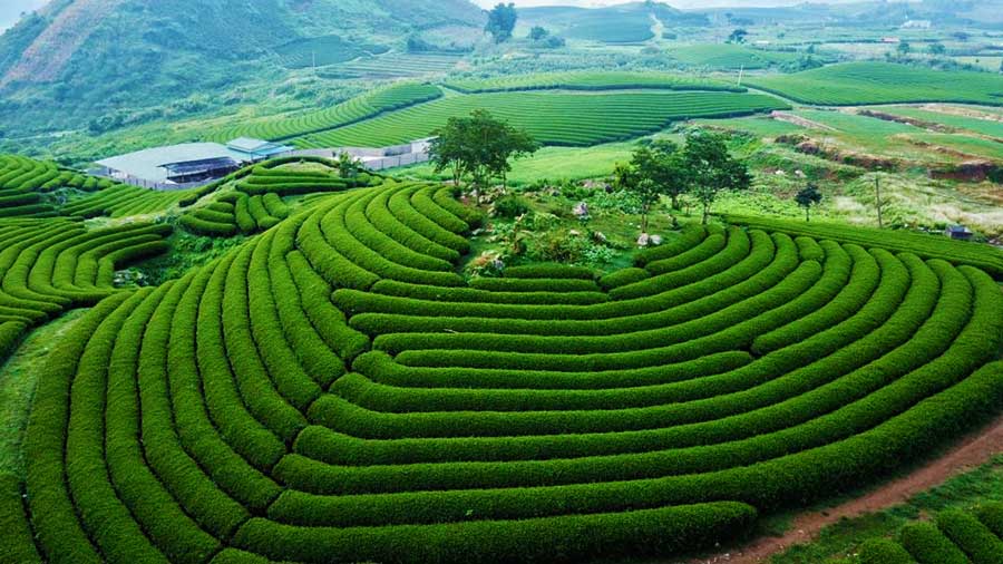 tháng 7 nên đi du lịch ở đâu miền bắc - Hình 3