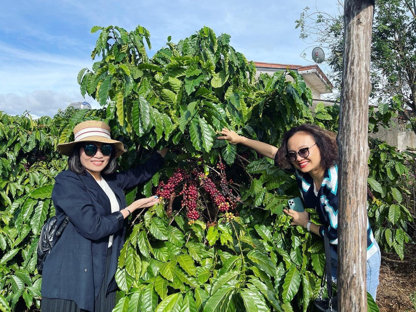 thuận lợi để phát triển du lịch ở tây nguyên là - Hình 2