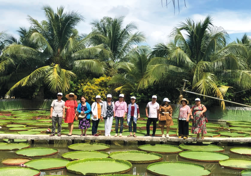 tour du lịch 2 ngày tại đồng tháp - Hình 5