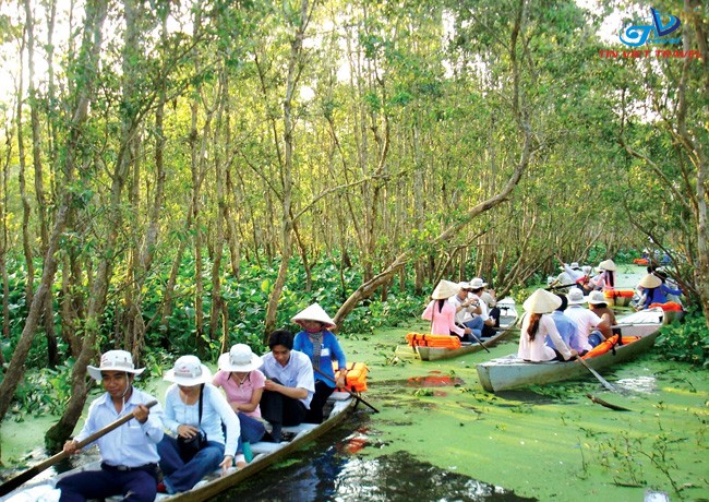 tour du lịch cà mau - Hình 4