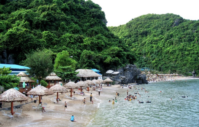 tour du lịch cát bà 2 ngày 1 đêm - Hình 3