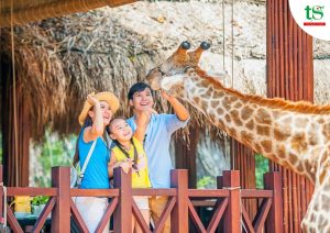 tour du lịch cho gia đình có con nhỏ
