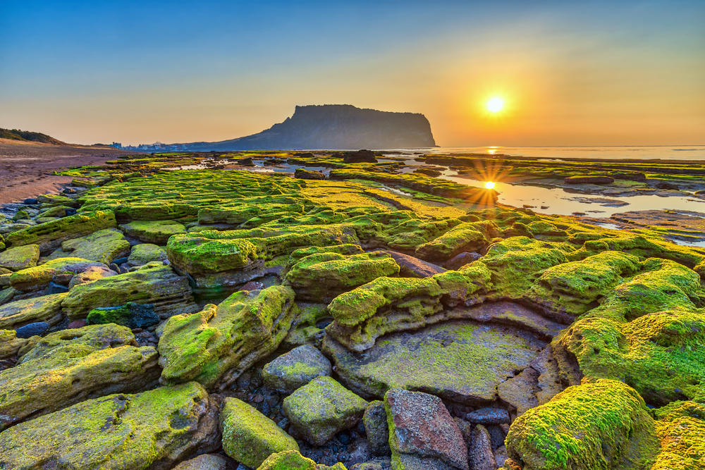 tour du lịch đảo jeju từ tphcm - Hình 3