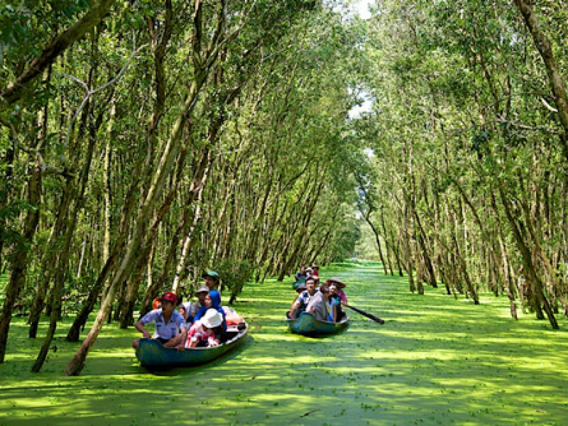 tour du lịch đồng tháp - Hình 2