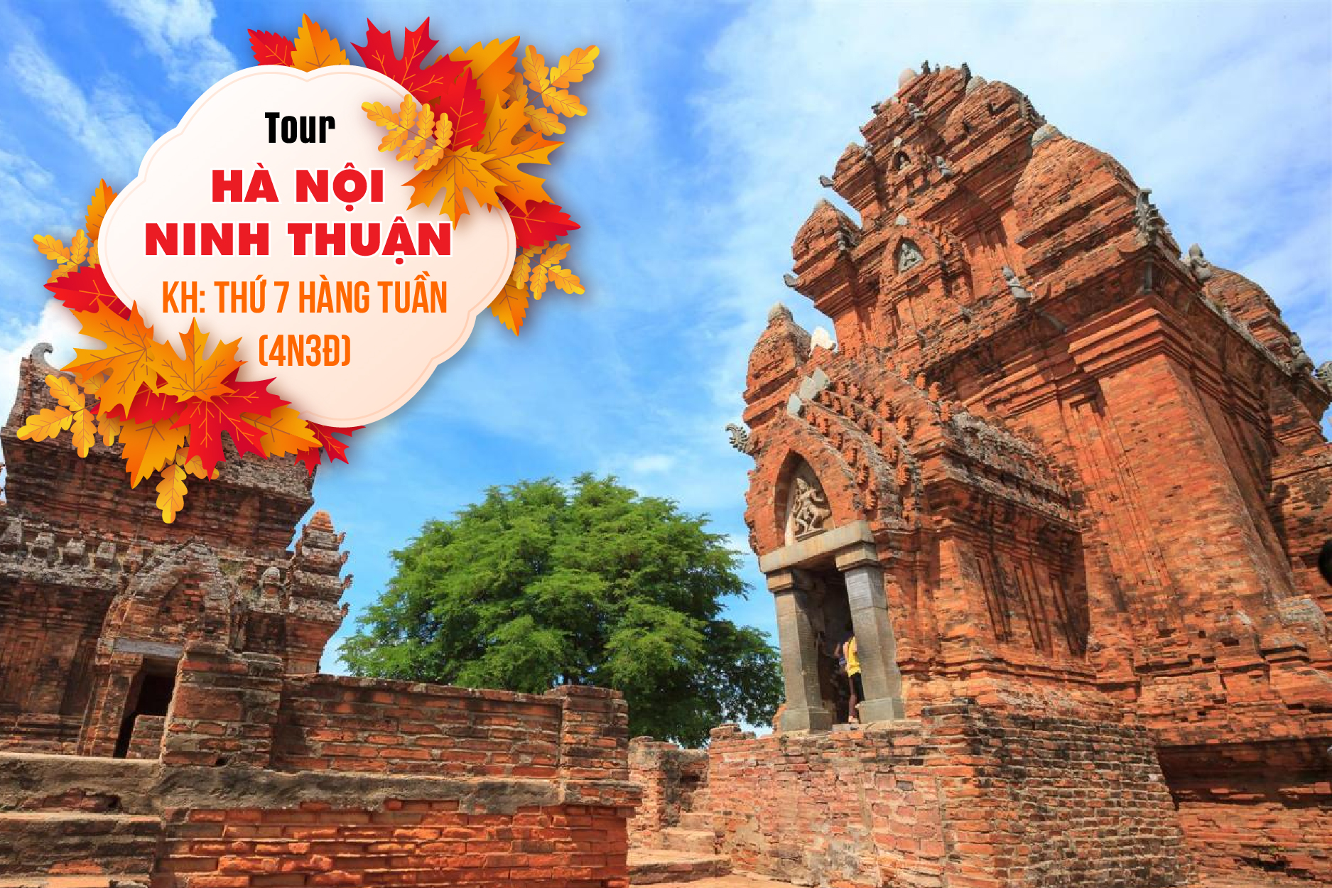 tour du lịch hà nội ninh thuận - Hình 3
