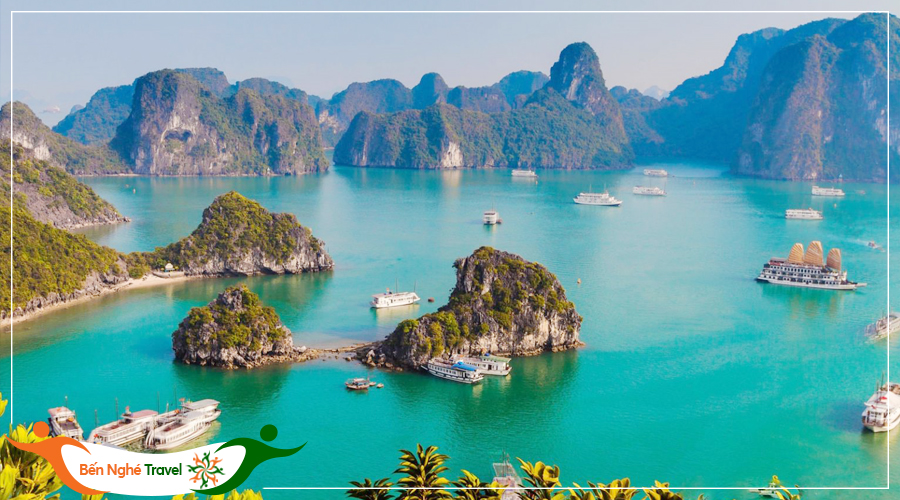 tour du lịch hải phòng - Hình 5