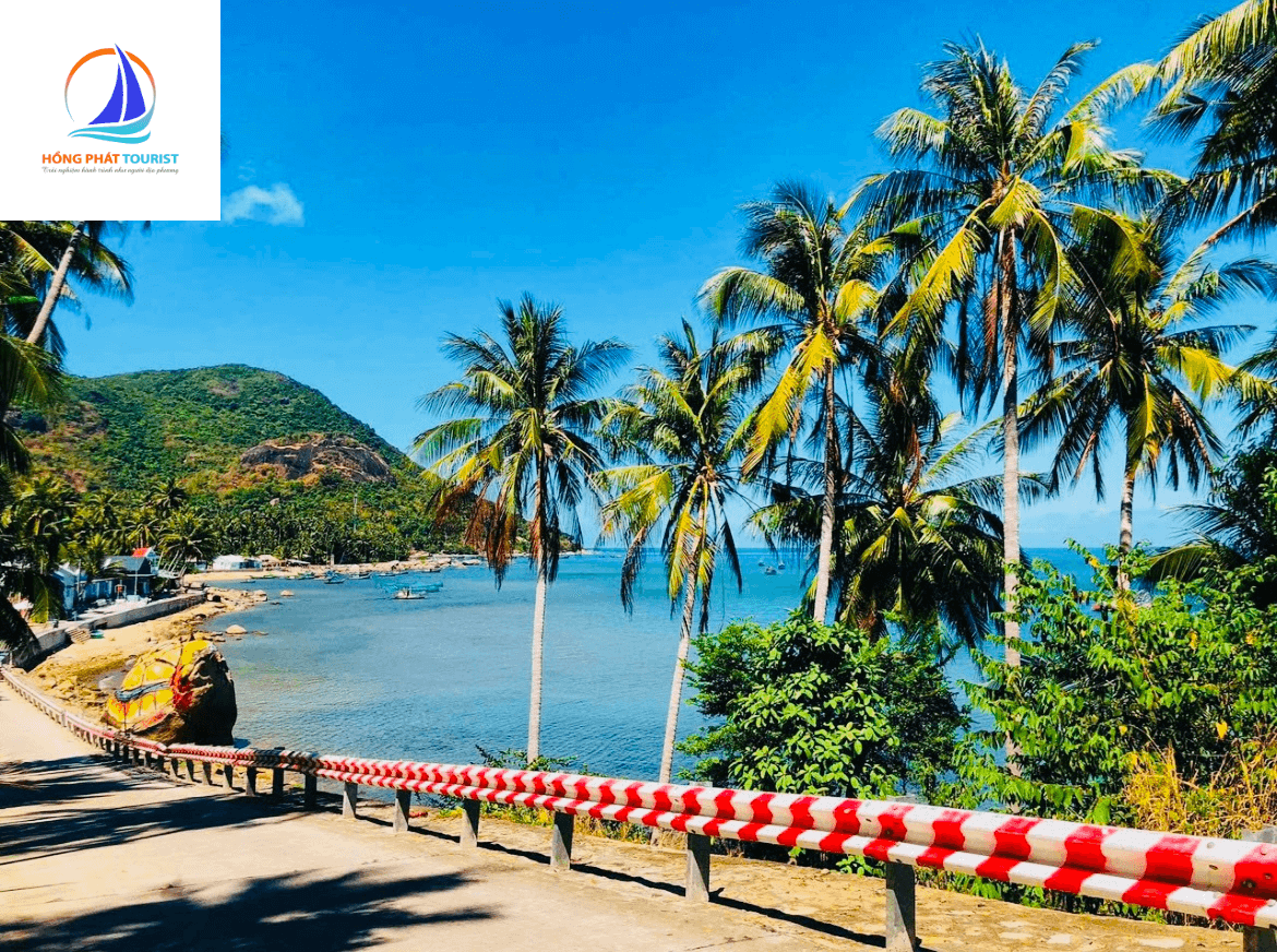 tour du lịch hòn sơn 2 ngày 1 đêm - Hình 4