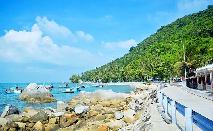 tour du lịch hòn sơn 3 ngày 2 đêm - Hình 4