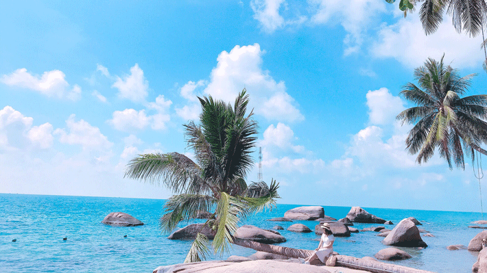 tour du lịch hòn sơn - Hình 3