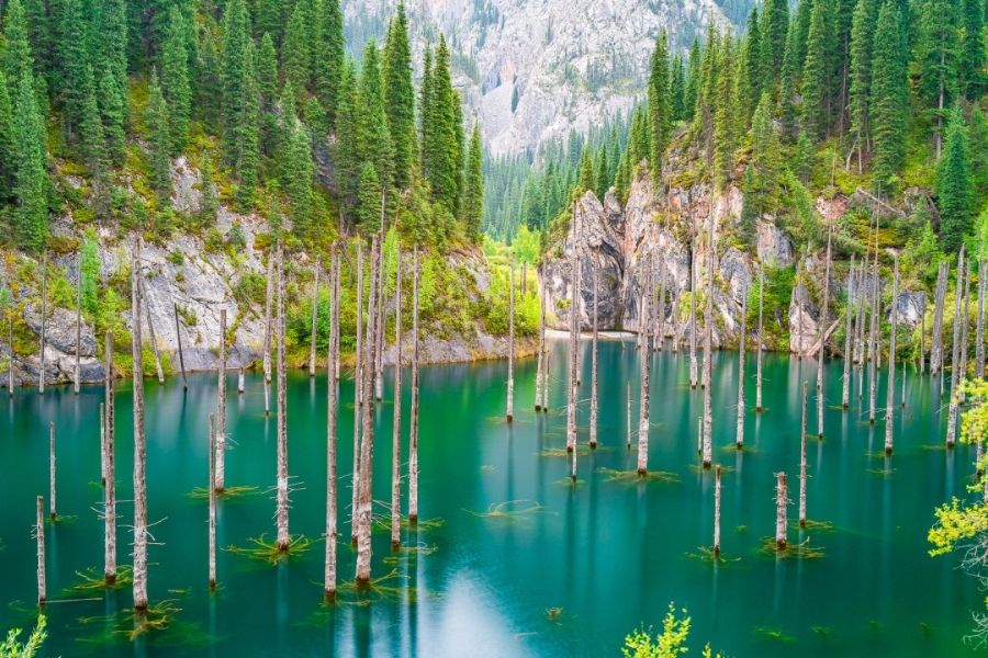 tour du lịch kazakhstan - Hình 2