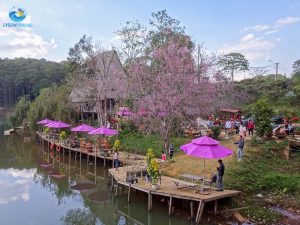 tour du lịch măng đen