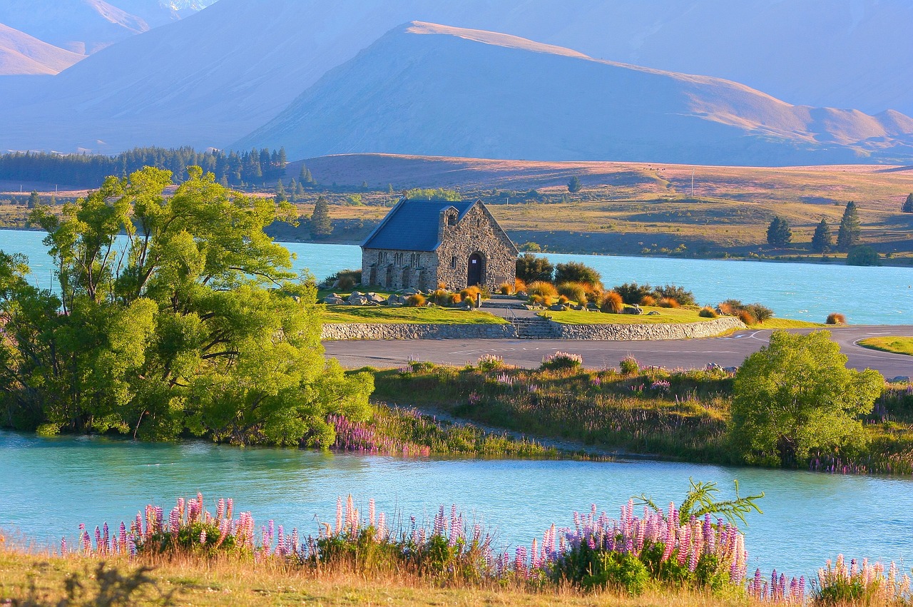 tour du lịch new zealand - Hình 2