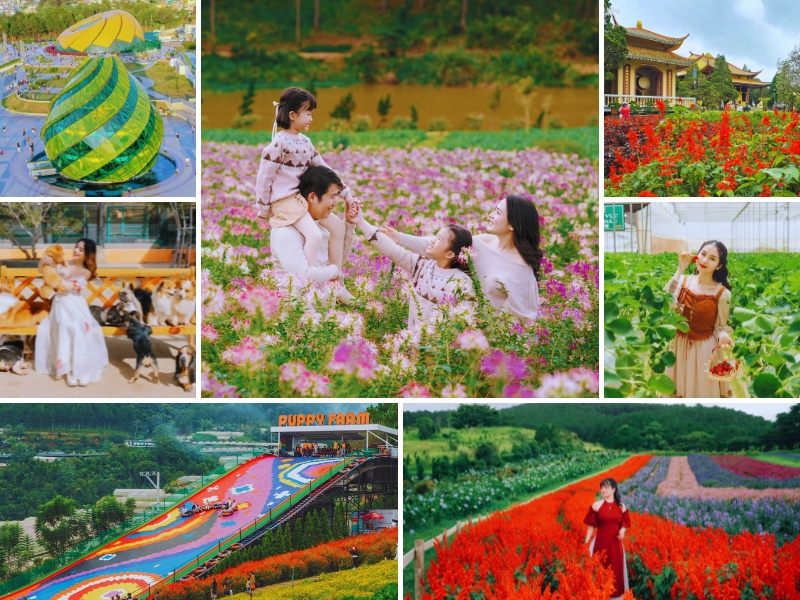 tour du lịch nha trang đà lạt 1 ngày - Hình 5