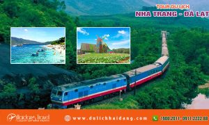 tour du lịch nha trang đà lạt bằng xe lửa