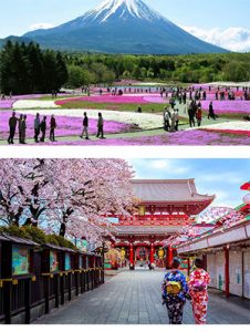 tour du lịch nhật bản 3 ngày 2 đêm