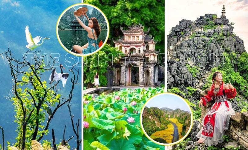 tour du lịch ninh bình - Hình 3