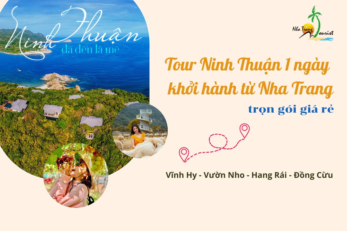 tour du lịch ninh thuận 1 ngày - Hình 2