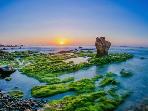 tour du lịch ninh thuận đá 7 màu