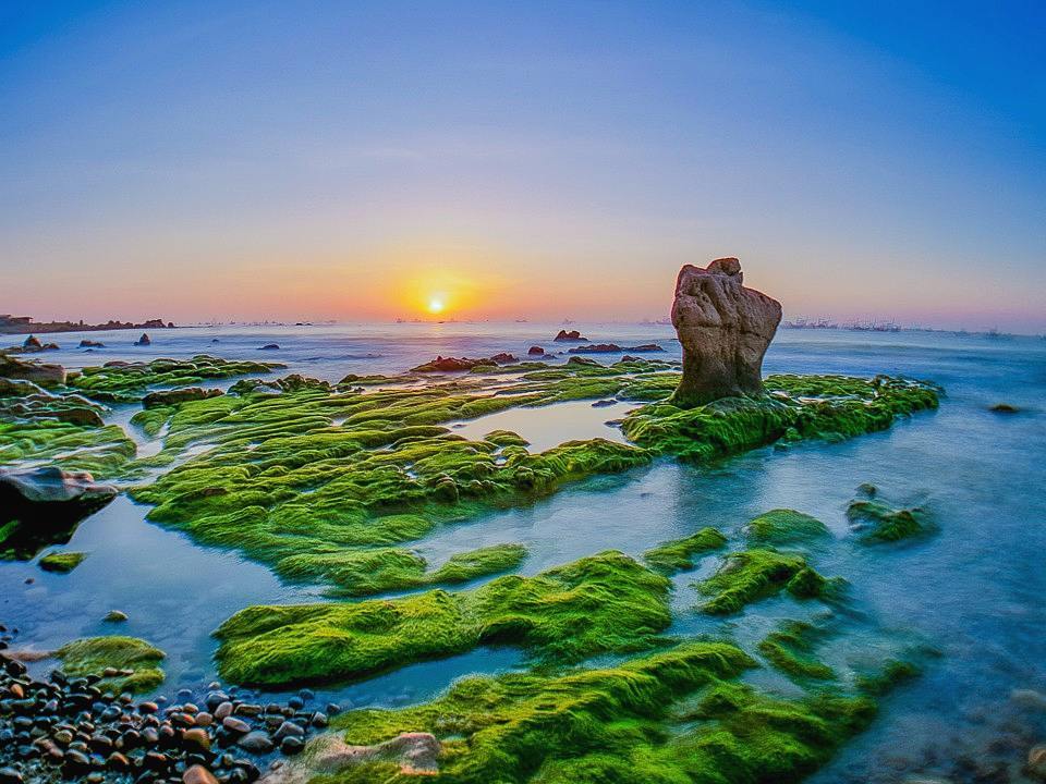 tour du lịch ninh thuận đá 7 màu - Hình 1