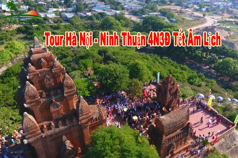 tour du lịch ninh thuận từ hà nội - Hình 3