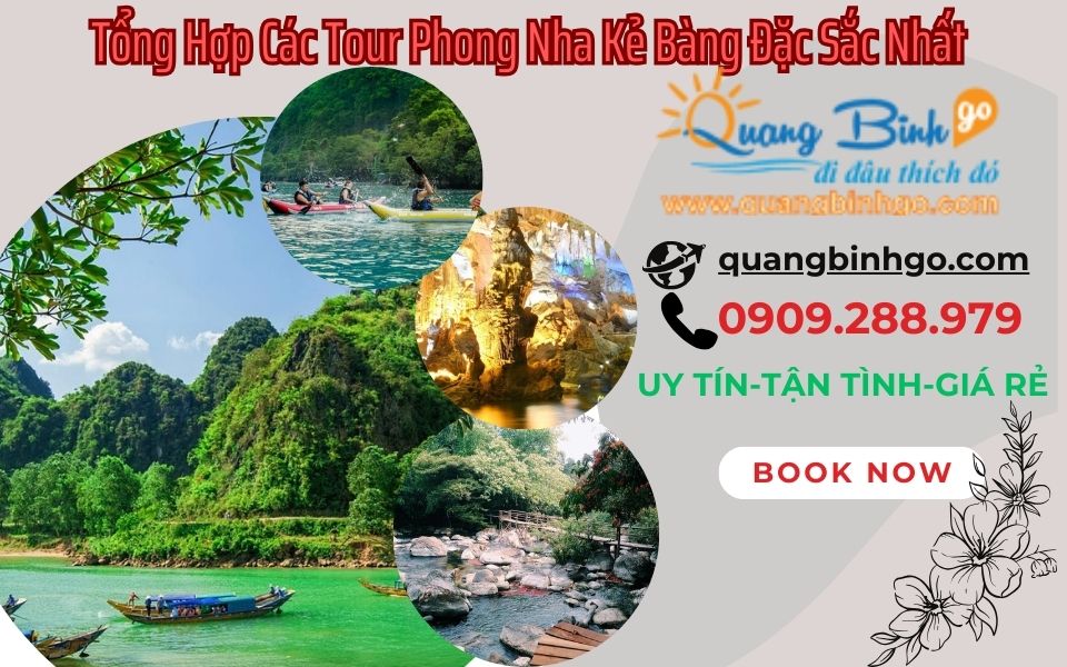 tour du lịch phong nha kẻ bàng - Hình 4