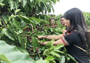 tour du lịch sinh thái nông nghiệp đắk lắk
