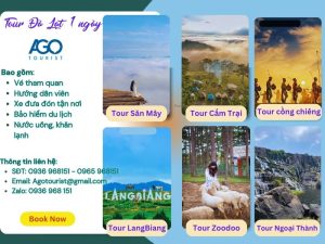 tour du lịch trong ngày