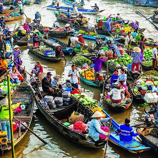 tour du lịch trong nước khởi hành từ tp hcm - Hình 3