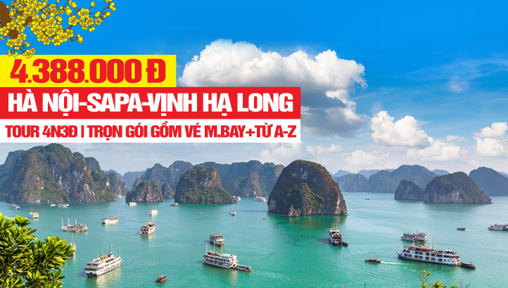 tour du lịch trong nước từ hà nội - Hình 4