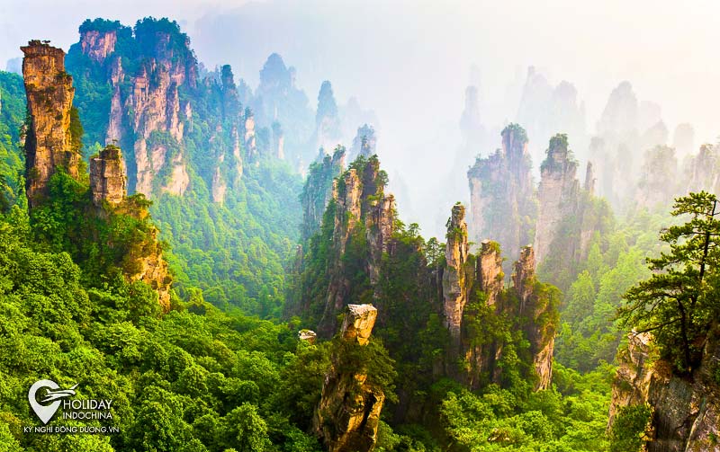 tour du lịch trương gia giới - Hình 3