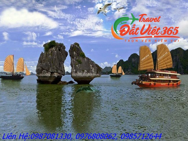 tour du lịch vịnh hạ long từ tp hcm - Hình 1