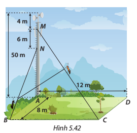 trong một khu du lịch người ta cho du khách - Hình 4