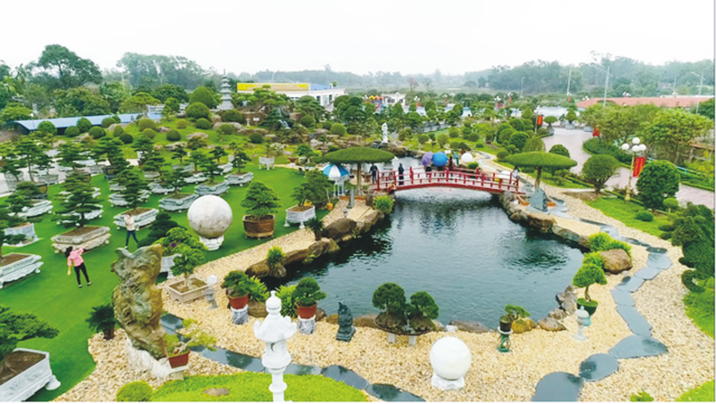 trung tâm thương mại và du lịch dũng tân - Hình 2