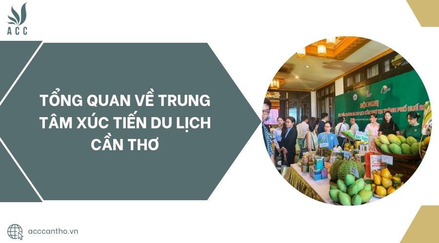 trung tâm xúc tiến du lịch - Hình 4