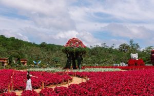 vé khu du lịch fresh garden dalat