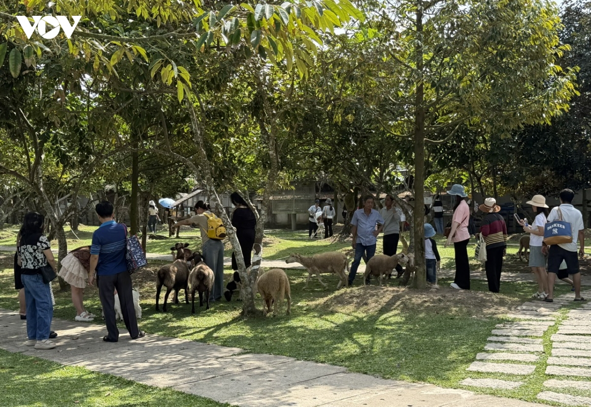việc làm du lịch cần thơ - Hình 2