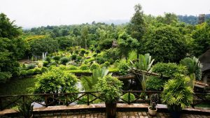 bài đánh giá về khu du lịch rừng madagui