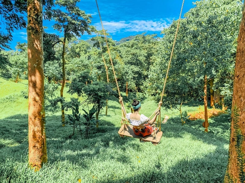 bài đánh giá về khu du lịch sinh thái ozo park - Hình 4