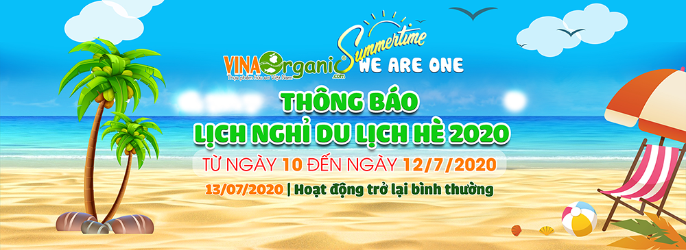 banner du lịch hè - Hình 3