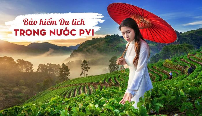 bảo hiểm du lịch pvi - Hình 4