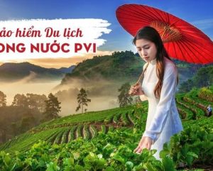bảo hiểm du lịch trong nước pvi