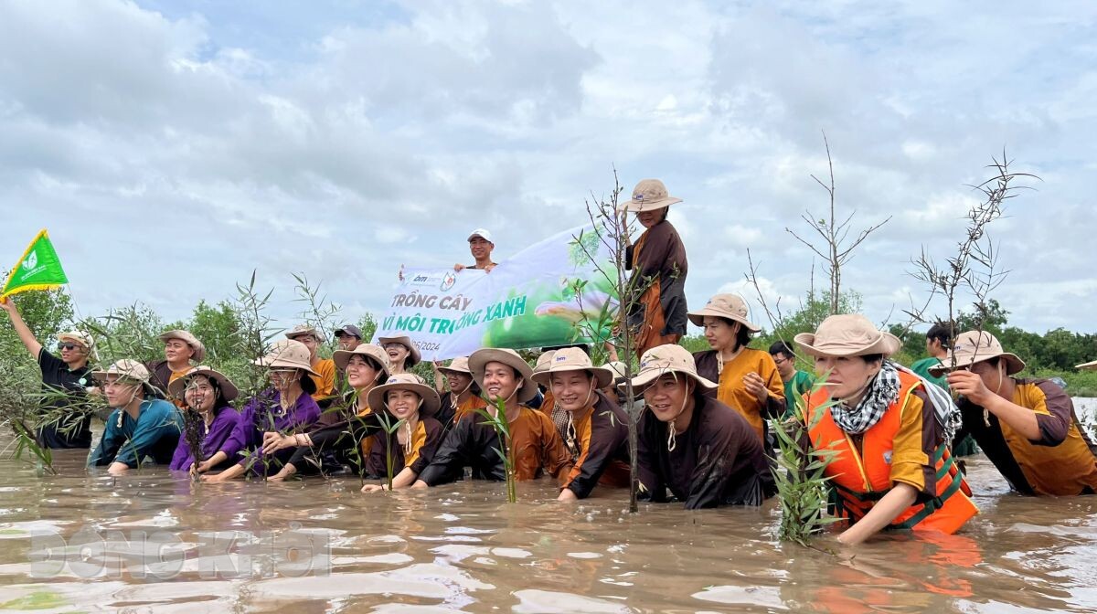 bảo vệ môi trường du lịch - Hình 5