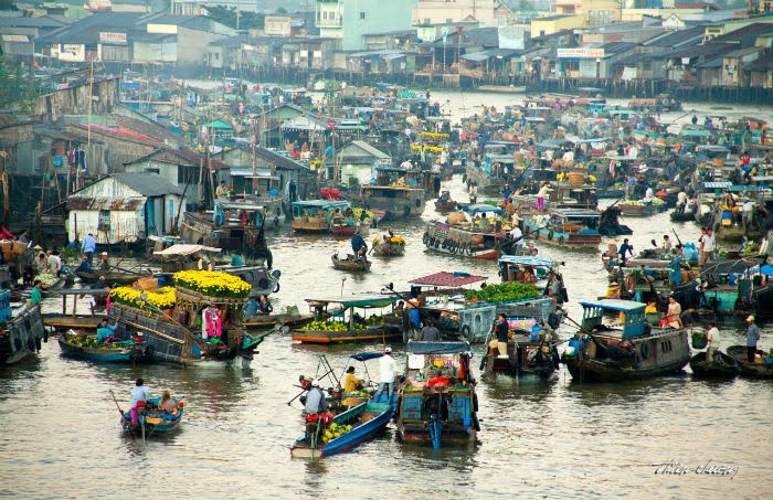 bến tàu du lịch cái bè - Hình 5